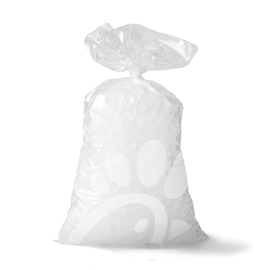 Bag of Ice